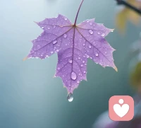 生活温柔，万物皆可期配图