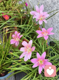 让过去成为过去，让自己成为自己，除了生死，哪一件事不是闲事！配图