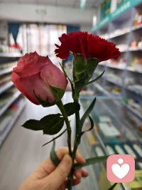 春三月，夜卧早起，广步于庭，被发缓形，以使志生！配图