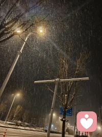 好的感情，是免我四下流离，免我无枝可依！后来，我只谈金钱不谈感情！配图