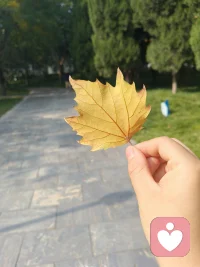  清晨最温柔的地方在于：
不管昨晚多崩溃，它都给你一次重新喘气的机会。配图