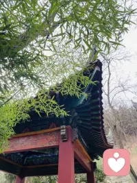 心有归处，身有安处。
以温润之力，抚平情绪褶皱
以通透之智，解开内心纠结。
静守本心，自在疗愈
让每一份疲惫，都被温柔接住。

五行析缘，干支推运
用心倾听每一个灵魂配图