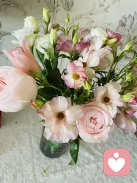 五行有旺衰，情绪有起伏
不必强求时时圆满，此刻的低谷
是为了下一个大运的蓄能

水生木，木生心。
温柔地对待自己，就是最好的改运。配图