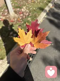 来人间走一程，要晒晒太阳，要看看花开，要和喜欢的人，走在街上。配图