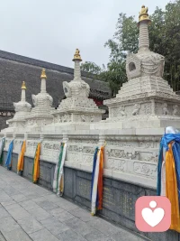 不必执着于过往，风景会带走遗憾配图