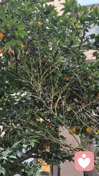 人这一辈子，懂得放下才能自在；懂得释怀才能愉悦。
面对得失，从容淡定；
面对苛责，不乱于心；
面对苦难，一笑了之。
人生很短，没有不能跨过去的坎。配图