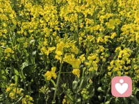 💅从前我是导游，带大家看遍山河风景；
现在我是倾听师，陪你聊聊心里的风景。
导游还在做，倾听也一直在。
如果你也有心事，
来我这里，你说，我听。🌹