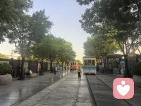 人生大多数情况下，只能靠自己。自觉反省，深刻领悟，指望不了别人，也无法奢望太多。越是依赖和期待，越容易失望，唯有真正强大，才能披荆斩棘，乘风破浪！加油！配图