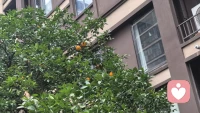 耐得住寂寞才能守得住繁华，该奋斗的年纪不要选择了安逸。成长是一场和自己的比赛，度过了一段自己都能感动的日子，才能遇见那个最好的自己。配图
