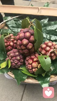 生活从不辜负每一个努力的人，别焦虑，做好自己，美好总会如期而至，新的一天，逐梦而行~