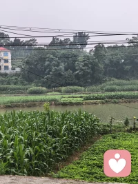 别人想什么，我们控制不了；
别人做什么，我们也强求不了。
唯一可以做的，就是尽心尽力做好自己的事，
走自己的路，按自己的原则，
好好生活。即使有人亏待了你，
时间也不会亏待你，人生更加不会亏待你！
善待别人，就是善待自己。
早安