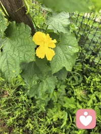 总有些事，管你愿不愿意，
它都要发生，你只能接受；
总有些东西，管你躲不躲避，
它都要来临，你只能面对配图