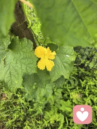 愿你每天醒来，
依旧热爱生活，
清楚想要什么，
并且为之努力，
强硬又不失温柔，
坚定且从容。早安配图