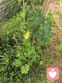 新一天，新美好，
人首先要懂得生活，
热爱生活，生活才会回报以善意，
只要你肯等一等，生活的美好一定会在你不经意的时候盛装来临。早安，配图