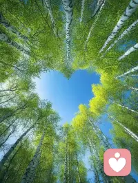 不要在意别人的眼光，
别总看着别人的生活，
后悔自己的选择，
坚持你认为对的，
做你自己想做的。
人生没有固定的轨道，
无论你选择怎样的方式生活，
只要内心强大，都可以很精彩。早安，