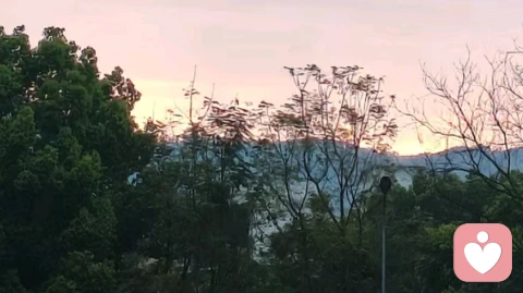 孩子沉迷于手机的真相