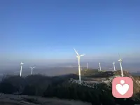 顶级的沟通，就是被理解和看见。配图