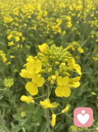 顶级的沟通，就是被理解和看见配图