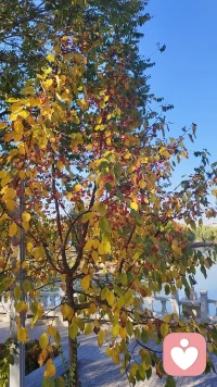 看见即疗愈    每个人最应该先看见的就是自己