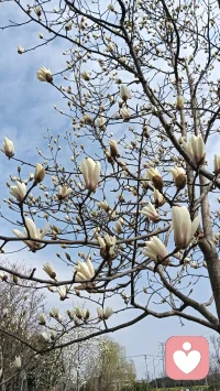 失恋了如何解决：
一，提高血清素，就是出去旅游，见阳光，见雨露，让情绪稳定。
二，提高内啡肽，锻炼身体，减肥塑形，先苦后甜。
三，提高多巴胺，吃美食，穿美衣，一和二做到了也会提高多巴胺。
四，提高催产素，如果性格阳光，情绪稳定，身材标致，面容姣好，穿着漂亮，吃的健康，会有人愿意靠近身边来提供催产素的。