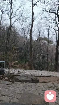 今天去爬山了，
爬到一半就下来了，
头晕眼花，恶心冒汗。
应该是平时缺乏锻炼，
豆包说是低血糖。
今天是二月二
祝大家身体健康
天天开心财源广进！配图