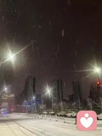 原来雪才是最懂成年人的伪装色。
它用漫天洁白覆盖了城市的喧嚣，却在路灯下显露出最真实的狼狈。
今夜这飘洒的大雪，像是一千万个无声的冤屈，千军万马般压在心头 ❄️。
很多人在雪夜里赶路，却不知道哪里是归途；
很多人看似坚强，却在无人的角落偷偷红了眼眶。
如果你也觉得此刻的风雪太冷，觉得心事太重无处安放 👇
👉 请私信我。
我是那个愿意在这个雪夜，陪你把委屈说出口的倾听师。
愿雪落无痕，你心有归处。
