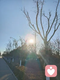 不用再一个人扛所有情绪。
专业倾听师在线陪伴，
私密、安全、温柔、有边界。
失眠、焦虑、委屈、迷茫，
说出来，就会轻松很多。
认真倾听，用心回应，
只做正经心理陪伴，
愿你被温柔治愈，重新拥有力量。