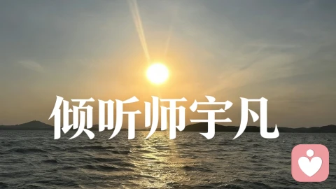 NPD四年舆论变局：从隐秘发现到全民清算，2026年终迎正义回响
