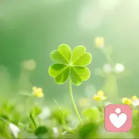 付出加倍的努力，是一个人改变命运最可靠的方法，天赋决定起点，努力决定高度。人与人之间，真正拉开差距的是日复一日的坚持，没有横空出世的幸运，只有不为人知的深耕。我们今天多学一点东西，明天多做一点事情，我们把平凡的事情重复做，把重复的事情用心做，努力或许不会立刻出现结果，却会在时光里，慢慢铺成我们自己向上的路！配图