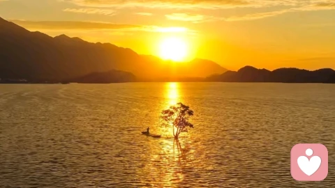 早安｜别慌，职场从不是淘汰赛，你只是走在自己的时区里。