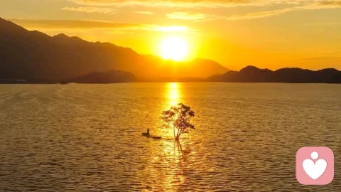 婚姻过不好、又离不了的婚姻，该如何破局？