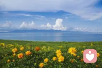 今天你肩上的负担将变成礼物，而你受过的苦，将照亮你的路。[太阳]早安[玫瑰]允许一切发生，接纳所有馈赠。配图