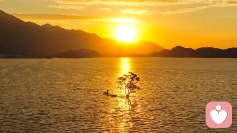 熵增定律：写给心灵的温柔治愈