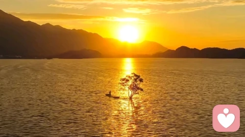 自恋型人格障碍（NPD）年龄发展史：从童年埋下毒种，到晚年癫狂崩塌。