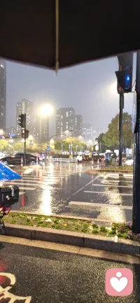 下午收到来访者拍的雨中海棠，晚上便见大雨为他壮行。见证他从沉淀到盛放，奔赴新程，满心欢喜，唯有祝福！
 
                 雨中海棠赴新程
一帘春雨润芳丛，半卷胭脂透晓风。
曾敛芳心藏浅梦，今舒玉靥向晴空。
辞却旧檐云影里，奔赴新程山海中。
我有清樽温暖意，君行万里莫辞匆。
纵使职场多辗转，且凭韧骨立从容。
此花恰似君心路，开尽人间岁岁红。
若有尘劳无处诉，归来共话海棠红。配图