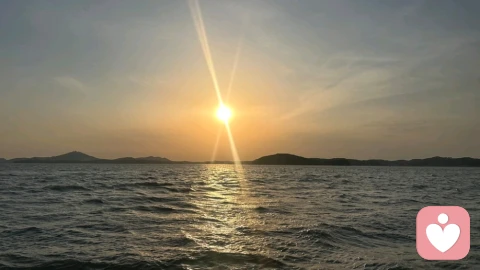 宇凡自悟「忘我接纳·看清因果·强身固本」108法自愈体系(可直接落地使用)