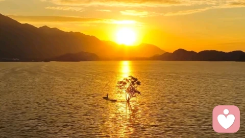 【第三篇 · 美：宇宙之相，生命之光】心真则清，心善则慈，心和则美