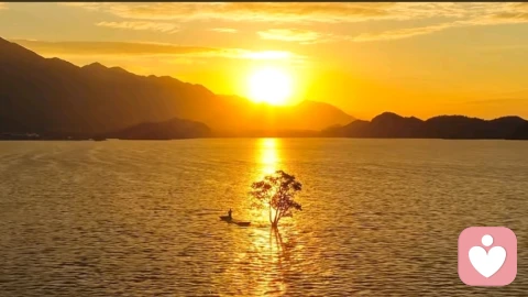 为什么抑郁好了,人还是会脑雾、断片、健忘?