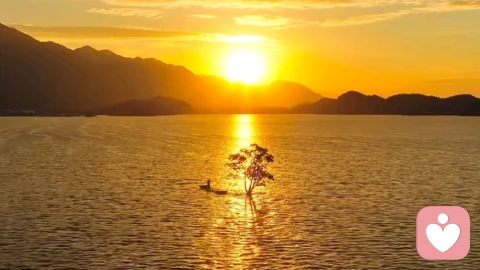 宇凡道·天道：宇宙规律，顺势而为