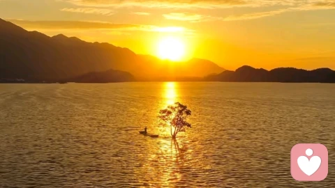 宇凡道·健康道：身心合一，阴阳平衡