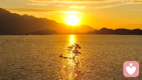 宇凡道·金钱道：觉醒财富本心，以道驭财创富