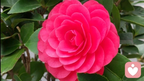 宇凡道：以自爱为基，做自己生命的主人！