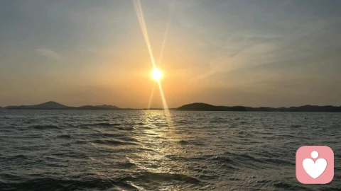 海日漫开，清歌徐来｜宇凡自守，静待同频。