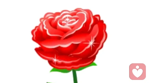 自恋型人格障碍（NPD）：深度解析其认知模式与行为本质