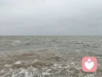 渤海湾随感｜借海的盐，净心的尘。
 渤海湾的风裹着咸湿，吹得人浑身通透。想起倪师常说，海盐是天地坎水之精，藏着至净至阳的气，能化浊、能安神。此刻站在潮声里，忽然懂了——海纳百川，而盐藏其中，千万年潮起潮落，把泥沙与喧嚣都滤成了清透的咸。那些攒在心头的疲惫、拧巴与惶惑，都被这股带着盐粒的风，揉碎进了浪涛里。原来最好的疗愈从不是刻意寻找，而是像海一样，容得下所有情绪，也借这世间最净的盐，悄悄给灵魂松了绑。配图