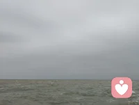 渤海湾随感｜借海的盐，净心的尘。
 渤海湾的风裹着咸湿，吹得人浑身通透。想起倪师常说，海盐是天地坎水之精，藏着至净至阳的气，能化浊、能安神。此刻站在潮声里，忽然懂了——海纳百川，而盐藏其中，千万年潮起潮落，把泥沙与喧嚣都滤成了清透的咸。那些攒在心头的疲惫、拧巴与惶惑，都被这股带着盐粒的风，揉碎进了浪涛里。原来最好的疗愈从不是刻意寻找，而是像海一样，容得下所有情绪，也借这世间最净的盐，悄悄给灵魂松了绑。配图