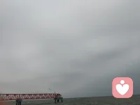 渤海湾的海风，红桥与海鸥，把心吹得透亮！配图