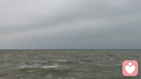 渤海湾风语：海盐、海鸥与红桥。