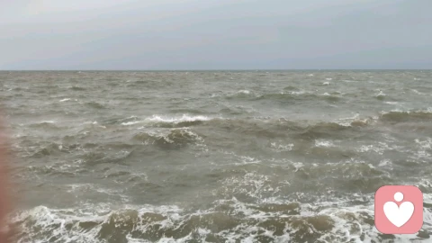 临海悟道：勘破情爱虚妄，余生自渡自成山海。