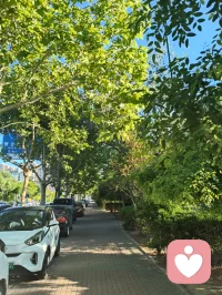 踏过洒满阳光的林荫路，听风穿叶，听鸟轻啼，感受着生命力一点点漫上来。原来最好的治愈，从来都在清晨的风里，在向前走的脚步里。配图